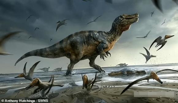 Spinosaurus, khủng long, hóa thạch, khám phá khoa học