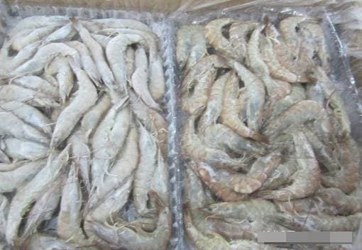 tôm sông, tôm biển, mua tôm