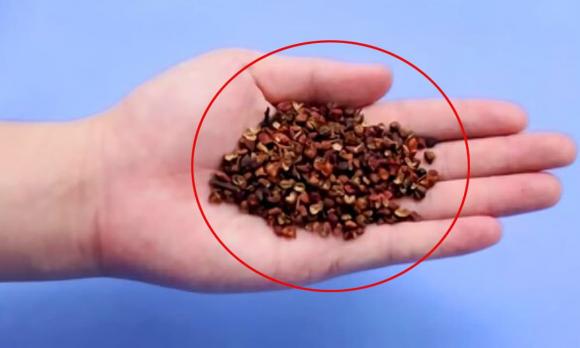 máy giặt, cho hạt tiêu máy giặt, công nghệ  