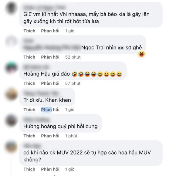 hoa hậu Phạm Hương, sao Việt