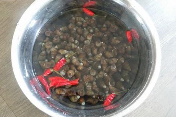 ốc luộc, cách luộc ốc ngon, món ngon 
