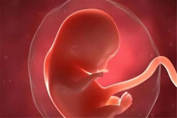 mang thai, thai nhi, bất thường thai nhi, thiếu oxy ở thai nhi, thai nhi thiếu oxy