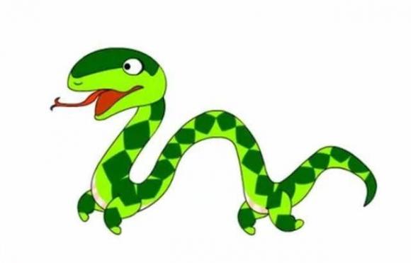 rắn, tiến hoá, động vật có vú, Tại sao rắn đi bằng bụng?