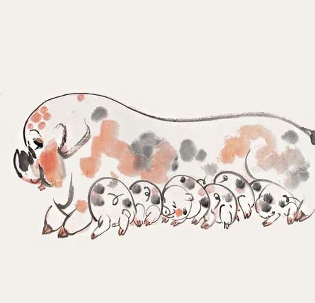 tử vi, con giáp, tuổi mão, tuổi mùi, tuổi hợi