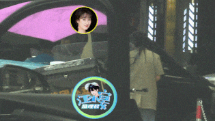 Viên Băng Nghiên , phong sát, trốn thuế, sao hoa ngữ