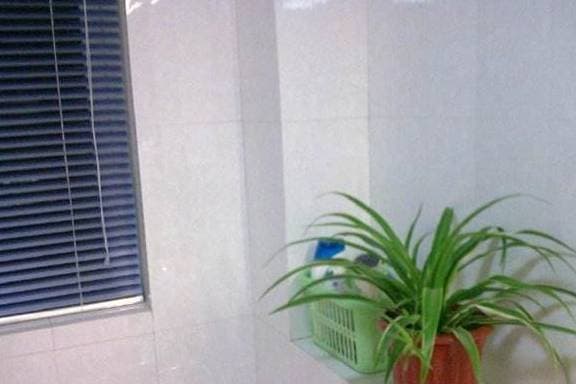 cây trồng trong phòng tắm, phòng tắm, phòng tắm nên trồng cây gì