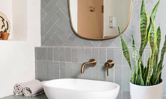 trồng cây ăn quả, trồng cây xanh, cách trồng cây ăn quả