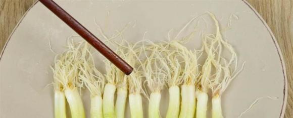 củ hành, rễ hành lá, mẹo hay, chống cảm lạnh