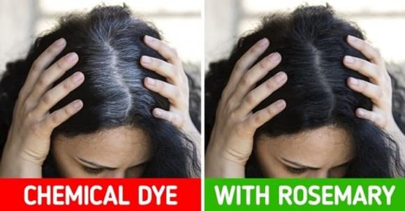 loại bỏ tóc bạc, cách hết tóc bạc, chữa tóc bạc 