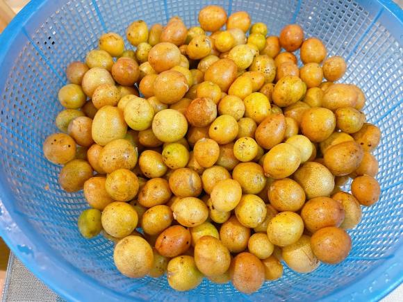 quất hồng bì, quất hồng bì ngâm đường, món ngon 