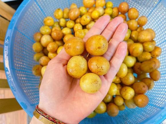 quất hồng bì, quất hồng bì ngâm đường, món ngon 