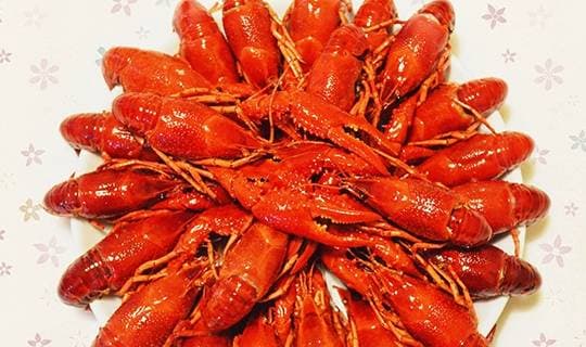thực phẩm nhiều ký sinh trùng, ký sinh trùng, không nên ăn những thực phẩm này nhiều