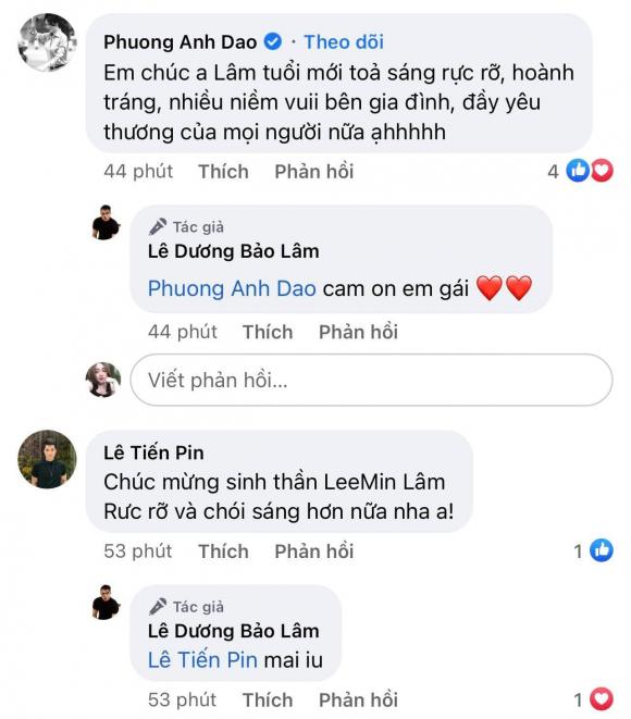 nghệ sĩ hài Lê Dương Bảo Lâm, sao Việt