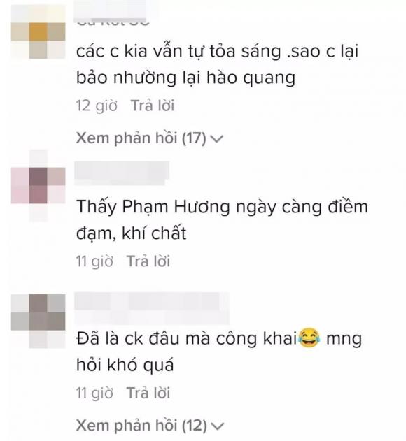 hoa hậu Phạm Hương, sao Việt