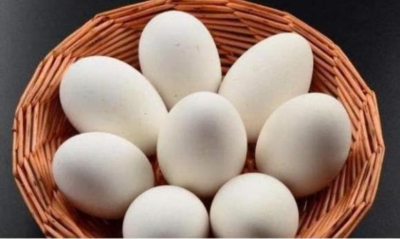 trứng ngỗng, tại sao ít người ăn trứng ngỗng, lưu ý khi ăn trứng ngỗng