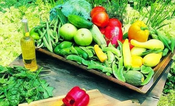tuổi thọ, chăm sóc sức khỏe, hệ miễn dịch kém