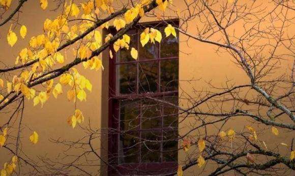 nói với con, chiêm nghiệm cuộc sống