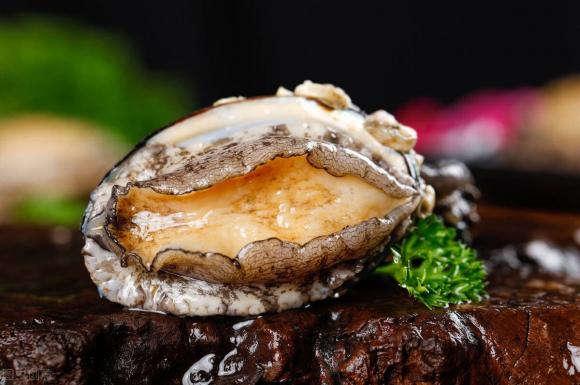 bệnh gút, bào ngư, Purine