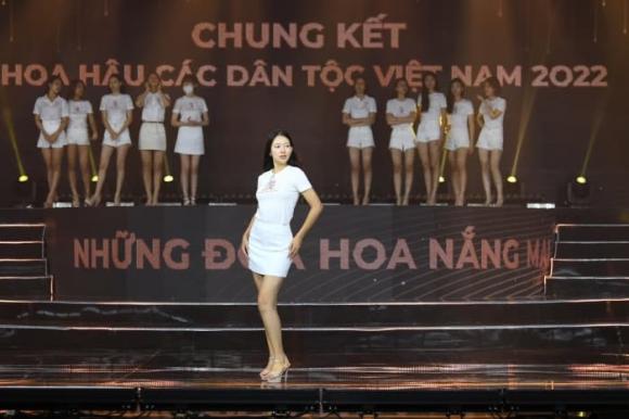 Hoa hậu các Dân tộc Việt Nam 2022, sao Việt