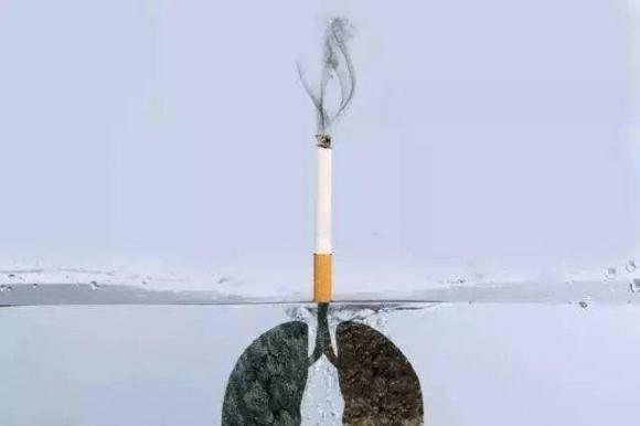 hút thuốc lá, tuổi thọ, Hút thuốc lá ảnh hưởng đến sức khỏe