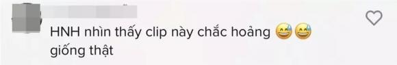 Dương Bá Thảo, Hồ Ngọc Hà