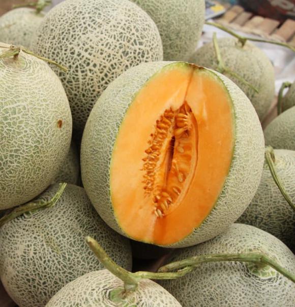 mùa hè ăn gì, loại trái cây tốt cho cơ thể, nên ăn trái cây gì