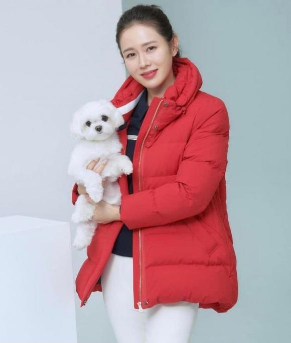 son ye jin, hyun bin, sao hàn 
