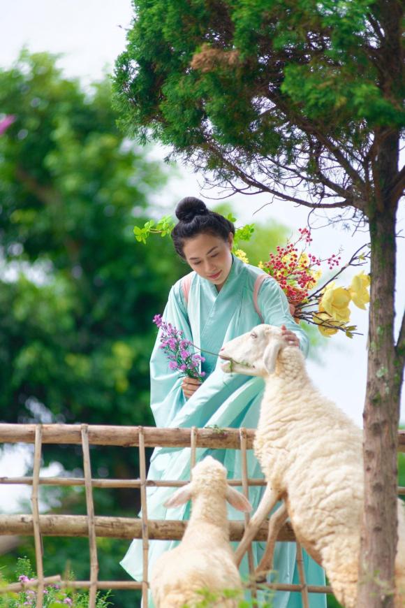 Tina Tình, ca sĩ Tina Tình, Tina Tình tái xuất, sao Việt