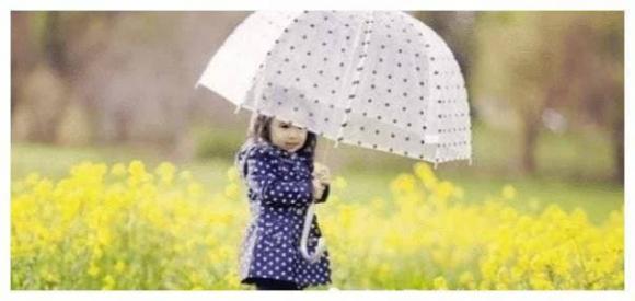 tử vi, con giáp, giờ sinh tốt