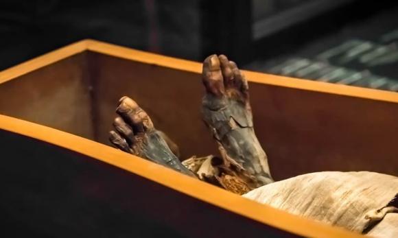 einstein, nhà khoa học einstein, khoa học kỳ thú, lý do einstein chỉ chụp ảnh nửa thân trên, giai thoại các nhà khoa học
