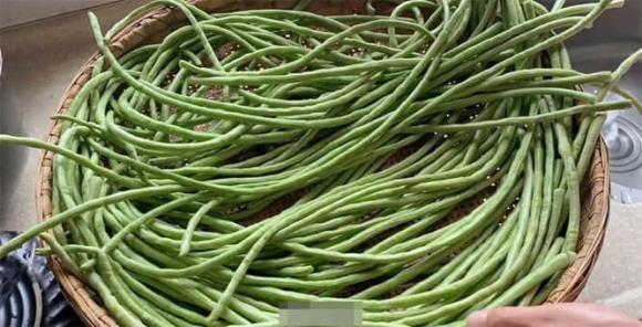 muối chua, đậu muối chua, đỗ muối chua, đậu que, đậu đũa