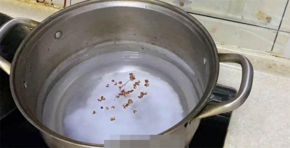 muối chua, đậu muối chua, đỗ muối chua, đậu que, đậu đũa