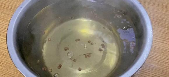 muối chua, đậu muối chua, đỗ muối chua, đậu que, đậu đũa