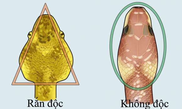 tiết kiệm, tiết kiệm giấy vệ sinh, kiến thức 