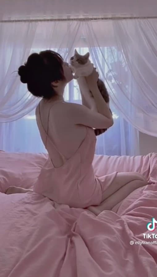 Elly Trần, thú cưng của Elly Trần, nuôi mèo