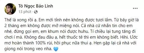 ca sĩ Lynk Lee, sao Việt