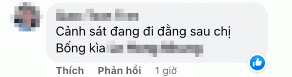 nữ diva hồng nhung,Diva Hồng Nhung,nghệ sĩ múa linh nga,sao Việt