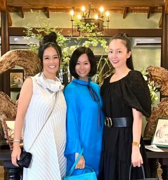 nữ diva hồng nhung,Diva Hồng Nhung,nghệ sĩ múa linh nga,sao Việt