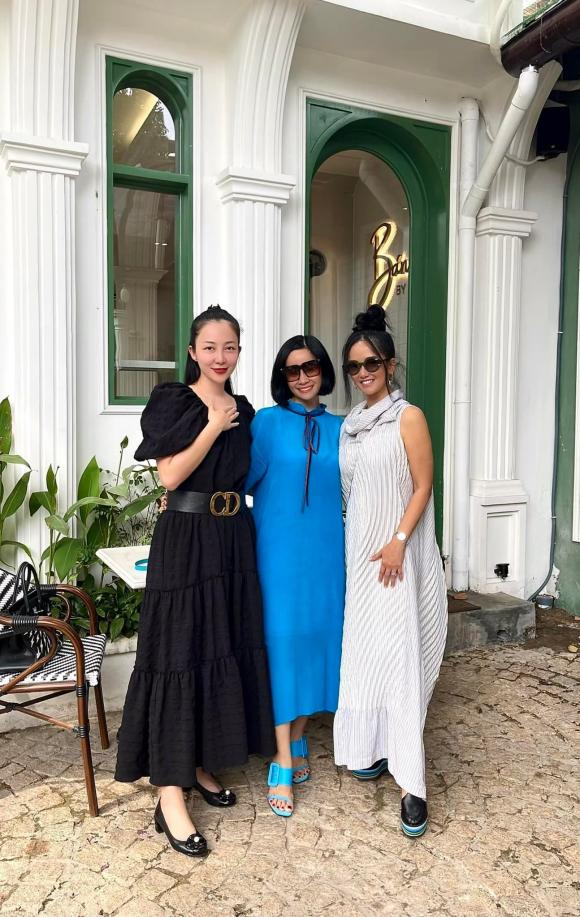 nữ diva hồng nhung,Diva Hồng Nhung,nghệ sĩ múa linh nga,sao Việt