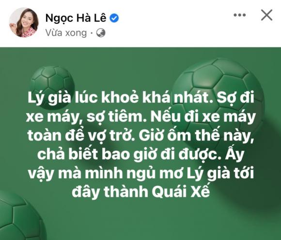 công lý, ngọc hà, sao việt 