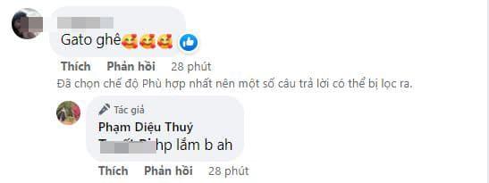 vợ cũ Hiệp Gà, Diệu Thúy, sao việt 