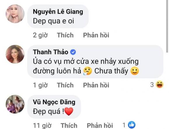 Thanh Thảo, Hồng Ngọc, sao Việt