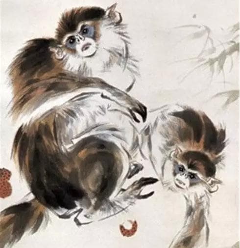 tử vi, con giáp, tinh tế