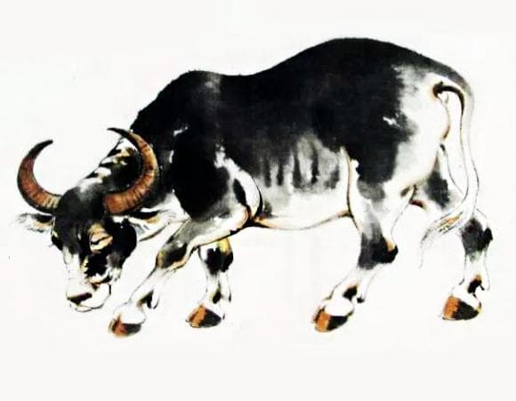 tử vi, con giáp, tinh tế