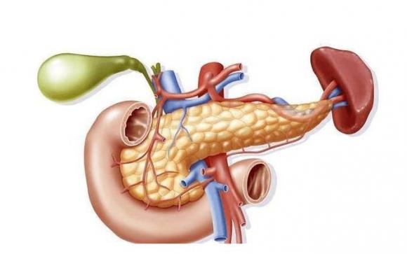 ung thư, viêm loét, loét miệng, viêm tuỵ, viêm dạ dày