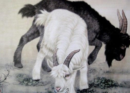 tử vi, con giáp
