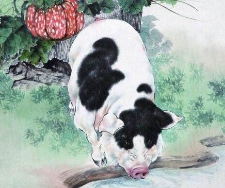 tử vi ngày 26,  tử vi, con giáp