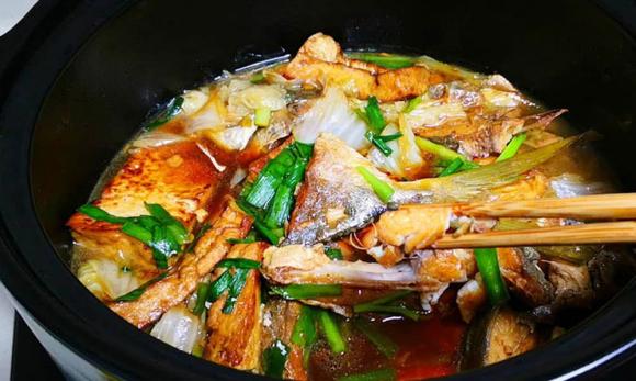 bạch tuộc, bạch tuộc có đốm xanh, bạch tuộc có đốm xanh nguy hiểm