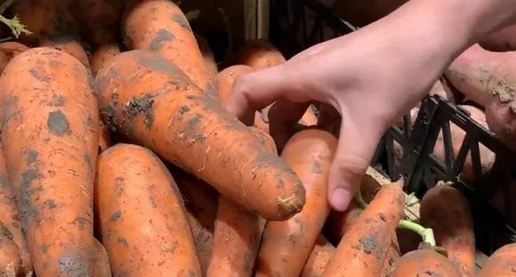 cà rốt, mua rau củ, kinh nghiệm đi chợ, mẹo hay