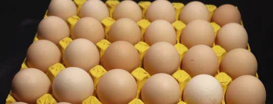 cất trứng, bảo quan trứng, chọn trứng gà, mẹo hay